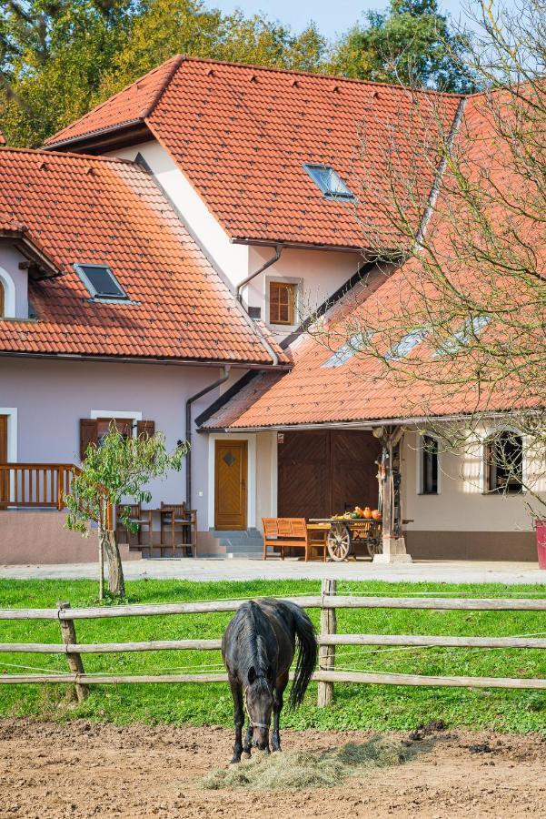 Apartment Zynga - Stud Farm Sentvid Pri Sticni Exterior photo